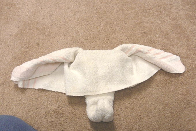 Как сделать слона из полотенец